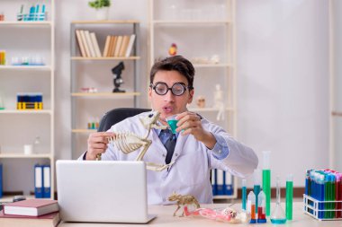 Laboratuvar kliniğinde kedi iskeleti olan komik bir bilim adamı.