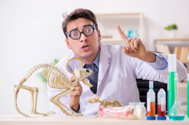 Funny scientist with cat skeleton in lab clinic clipart