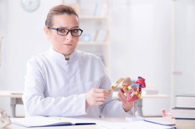 Kalbin çeşitli yerlerini açıklayan bir doktor.