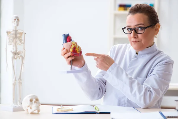 Doctor lecturer explaining various parts of heart — Stock Photo, Image