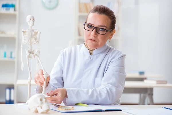 Kvinna läkare studerar mänskligt skelett — Stockfoto