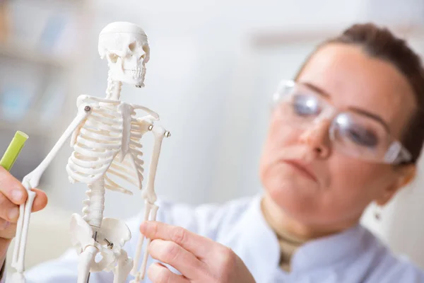 Mulher médico estudando esqueleto humano — Fotografia de Stock