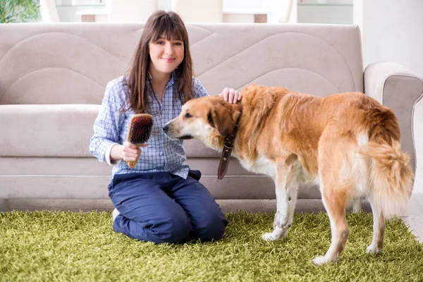 Mujer feliz dueño del perro en casa con golden retriever — Foto de Stock