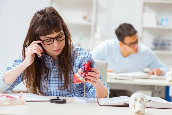 Due studenti di medicina che studiano in classe — Foto Stock