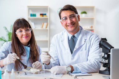 Paleontologlar nesli tükenmiş hayvanların kemiklerini inceliyor.