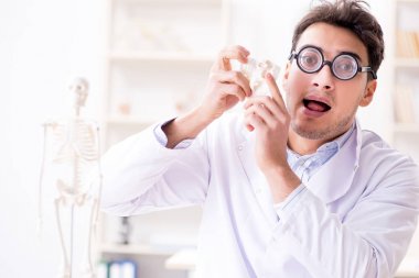 Deli doktor insan iskeletini inceliyor.