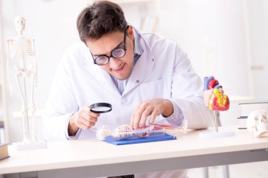 Kalp mankenli deli bir doktor.