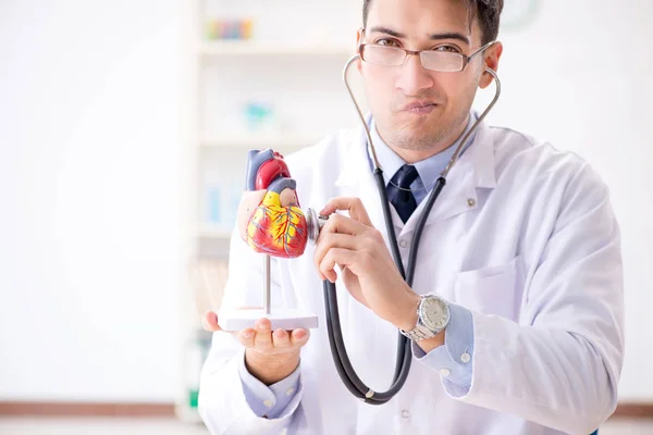 Doctora profesora explicando el modelo del corazón — Foto de Stock