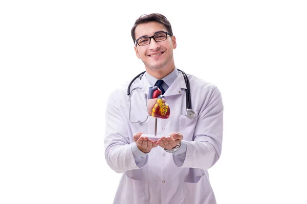 Молодий лікар з формою серця ізольований на білому — стокове фото