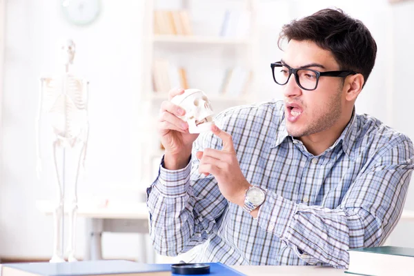 Estudiante de medicina estudiando el esqueleto —  Fotos de Stock