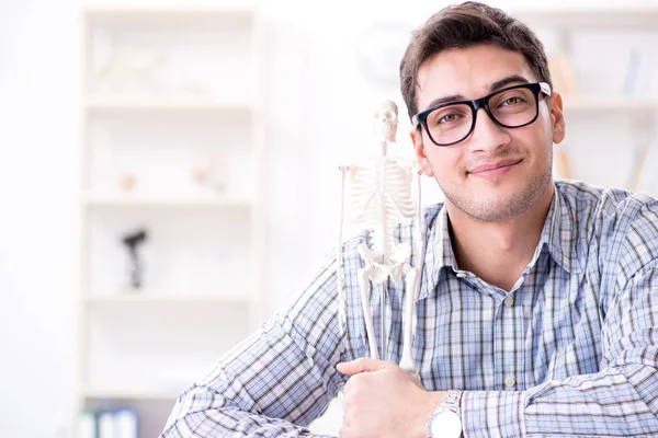 Medical student studing the skeleton — Stock Photo, Image