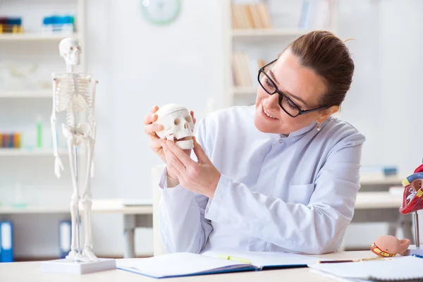 Femme médecin étudiant le squelette humain — Photo