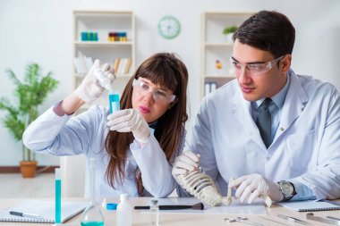 Paleontologlar nesli tükenmiş hayvanların kemiklerini inceliyor.