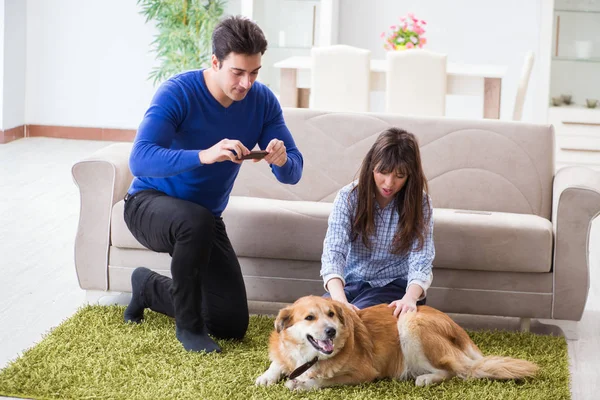 Golden retriever köpeğiyle mutlu bir aile — Stok fotoğraf