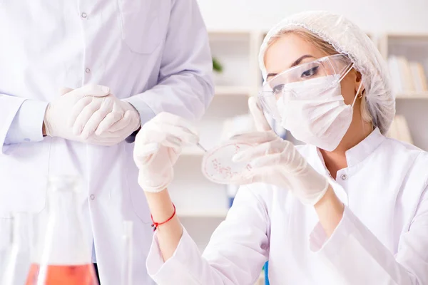 Mujer joven doctora en el laboratorio de la clínica del hospital — Foto de Stock