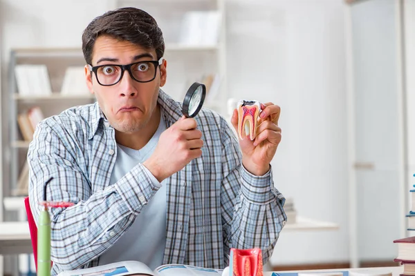 Studente di medicina che impara odontoiatria in classe — Foto Stock