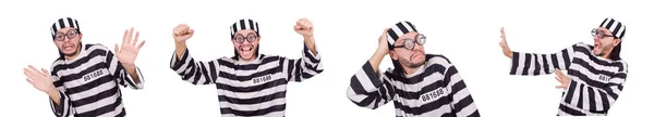 Prison inmate isolated on the white background — Stock Photo, Image