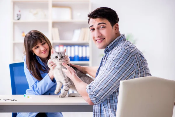 Chat en cours d'examen en clinique vétérinaire — Photo
