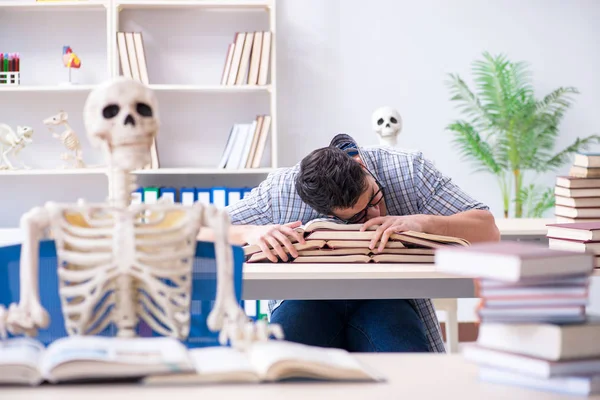 Esqueleto de estudante ouvindo palestra em sala de aula — Fotografia de Stock