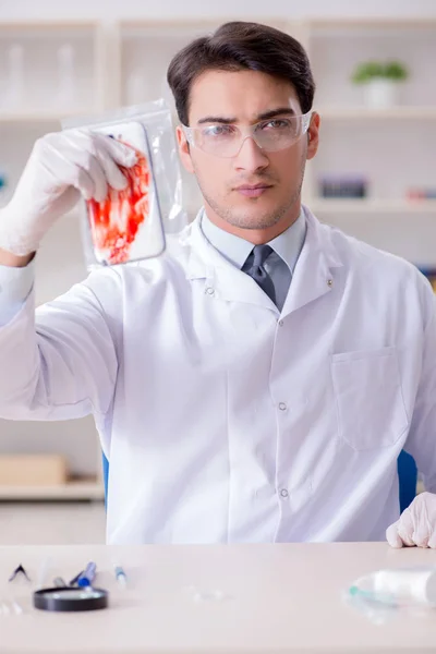 Criminólogo experto trabajando en el laboratorio para obtener evidencia —  Fotos de Stock