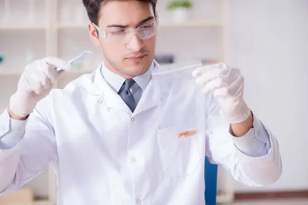 Criminólogo experto trabajando en el laboratorio para obtener evidencia — Foto de Stock