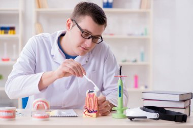 Tıp laboratuarına diş implantı yerleştiren dişçi.