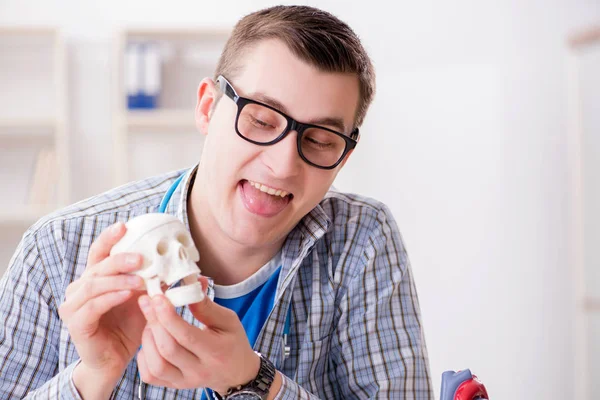 Medical student studying skeleton in classroom during lecture — Stock Photo, Image