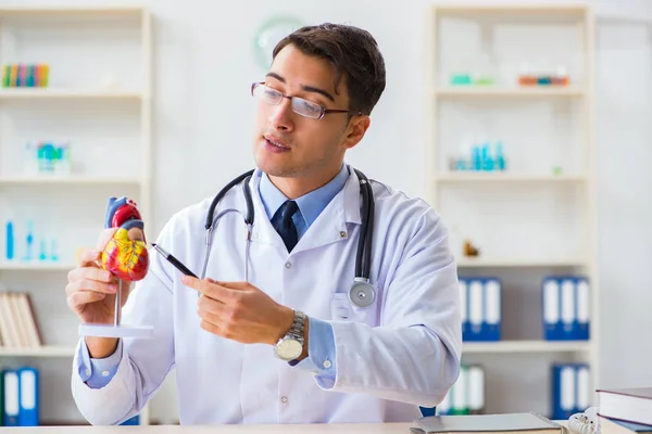 Médico explicando o modelo do coração — Fotografia de Stock