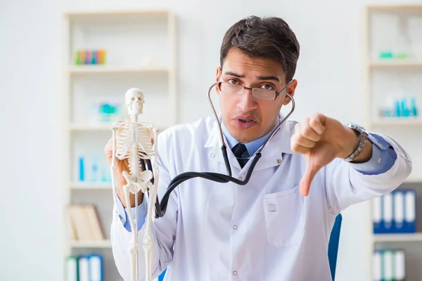Orvostanhallgató tanulmányozza a csontvázat — Stock Fotó