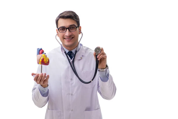 심장 모양을 하고 있는 젊은 의사가 흰 색옷을 입고 있다 — 스톡 사진