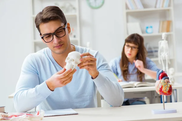 Dois estudantes de medicina que estudam em sala de aula — Fotografia de Stock