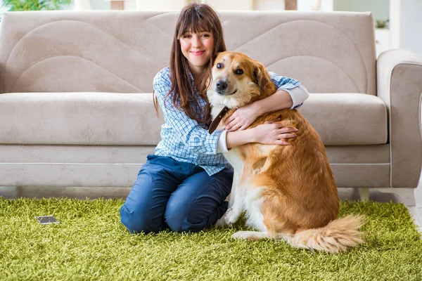 Lycklig kvinna hund ägare hemma med golden retriever — Stockfoto