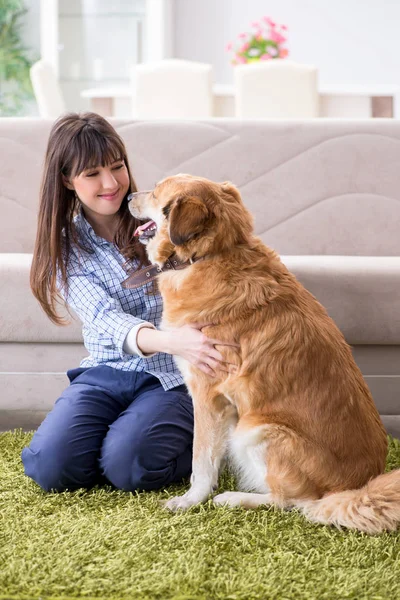 Golden Retriever 'lı mutlu köpek sahibi kadın. — Stok fotoğraf