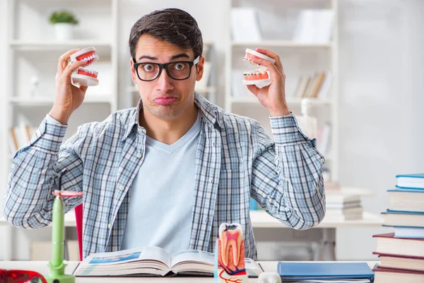 Medical student learning dentistry in classroom — Stock Photo, Image