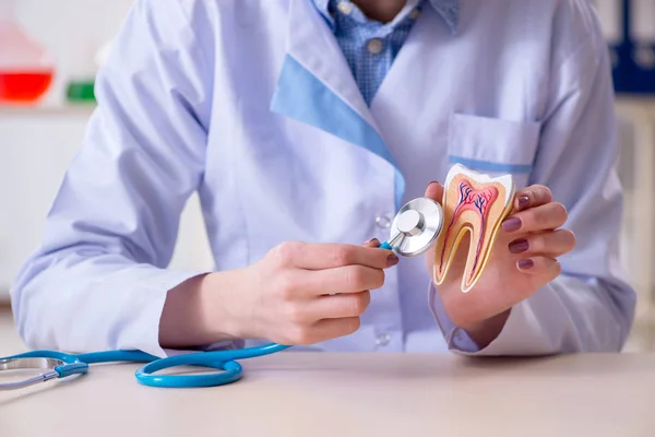 Dentist practicing work on tooth model — Stock Photo, Image
