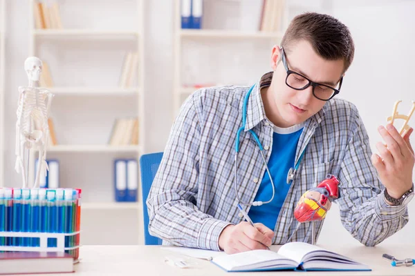 Estudiante de medicina estudiando corazón en el aula durante la conferencia — Foto de Stock