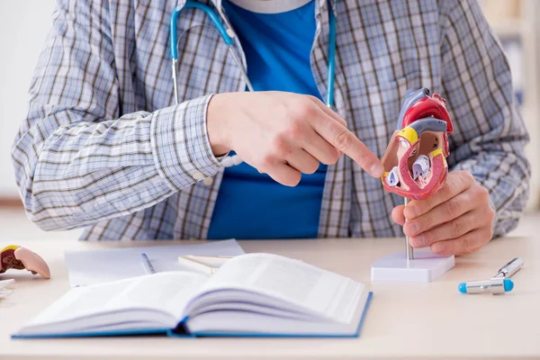 Medicinsk student studerar hjärta i klassrummet under föreläsningen — Stockfoto