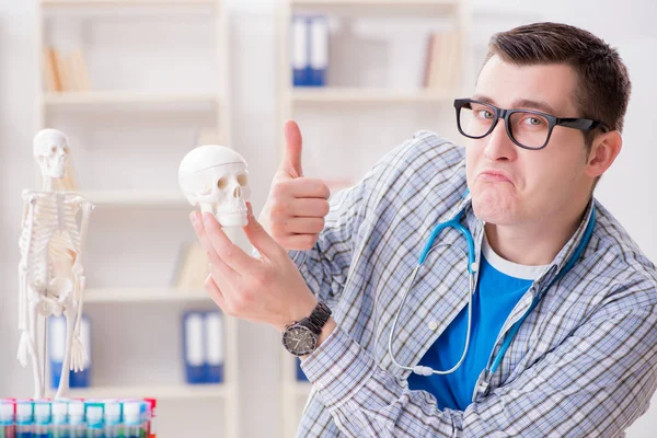 Estudante de medicina estudando esqueleto em sala de aula durante palestra — Fotografia de Stock