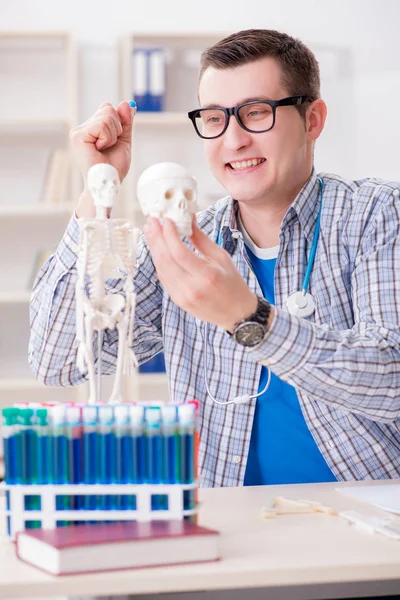 Φοιτητής ιατρικής μελετώντας σκελετό στην τάξη κατά τη διάρκεια διάλεξη — Φωτογραφία Αρχείου
