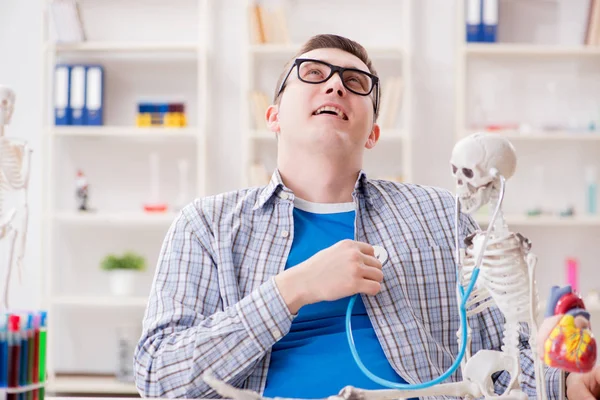 Medical student studying skeleton in classroom during lecture — Stock Photo, Image