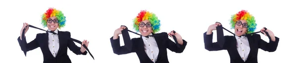 Žena klaun podnikatelka izolované na bílém — Stock fotografie