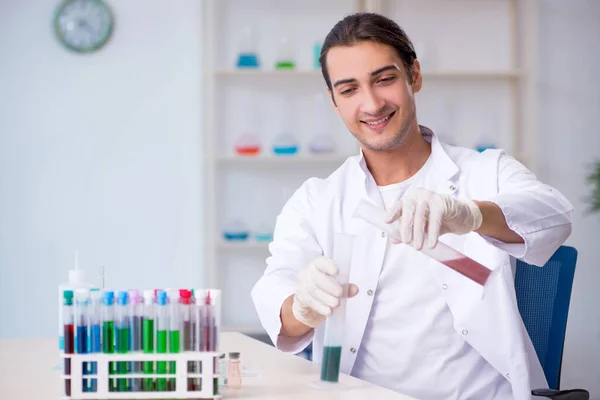 Jonge mannelijke chemicus werkzaam in het lab — Stockfoto