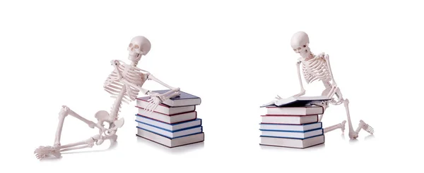 Скелет, читающий книги о белом — стоковое фото