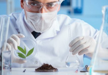 Erkek bilim adamı bir laboratuarda deney yapıyor.