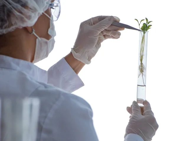 Kvinnlig forskare som utför ett experiment i ett laboratorium — Stockfoto