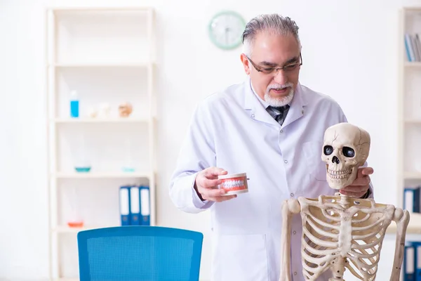 Aged male doctor with skeleton — Stock Photo, Image