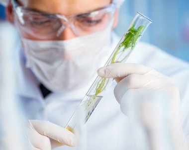 Laboratuvarda bilim adamıyla biyoteknoloji kavramı