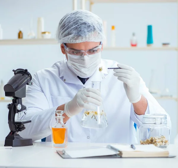 Químico mezclando perfumes en el laboratorio — Foto de Stock