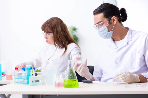 Dois químicos a trabalhar no laboratório — Fotografia de Stock