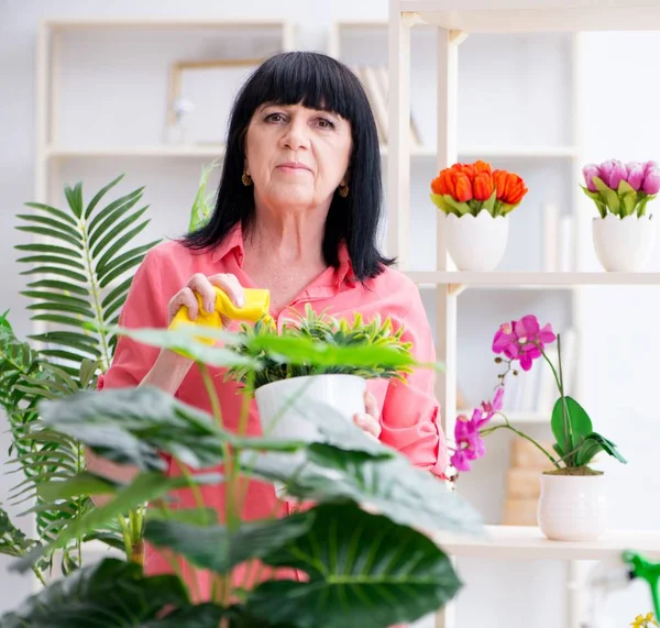 Цветочница, работающая в цветочном магазине — стоковое фото